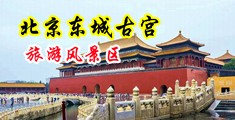 运动漏屄中国北京-东城古宫旅游风景区